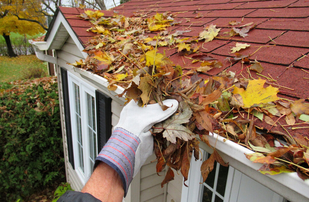 Professional Leaf Removal Services