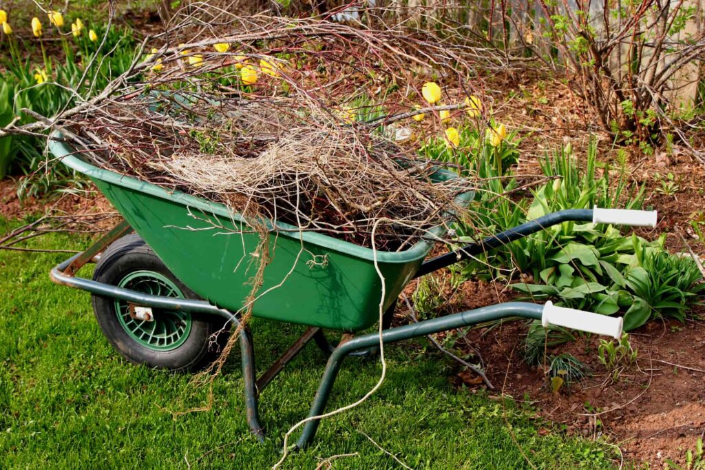 Professional Leaf Removal Services