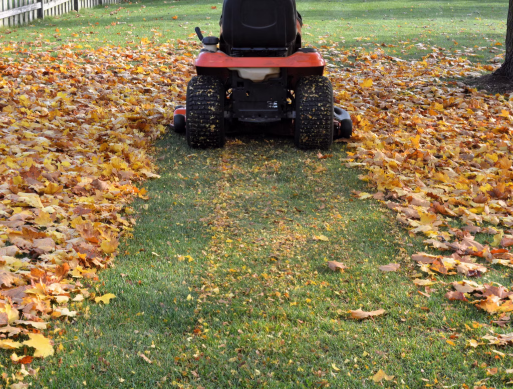 Professional Leaf Removal Services